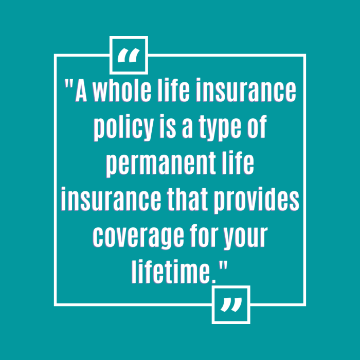 Life whole insurance policy quotes company