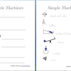 Bill nye simple machines worksheet