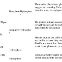 Gizmos student exploration carbon cycle