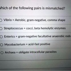 Which of the following enzymes is mismatched