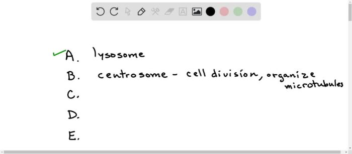 Enzymes