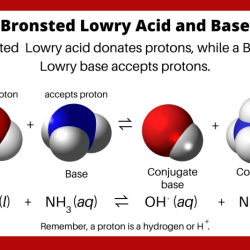 Which one of the following is a bronsted lowry acid