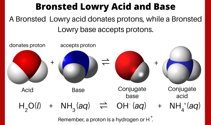 Which one of the following is a bronsted lowry acid