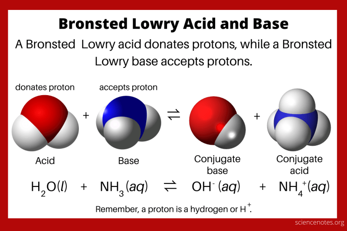 Which one of the following is a bronsted lowry acid