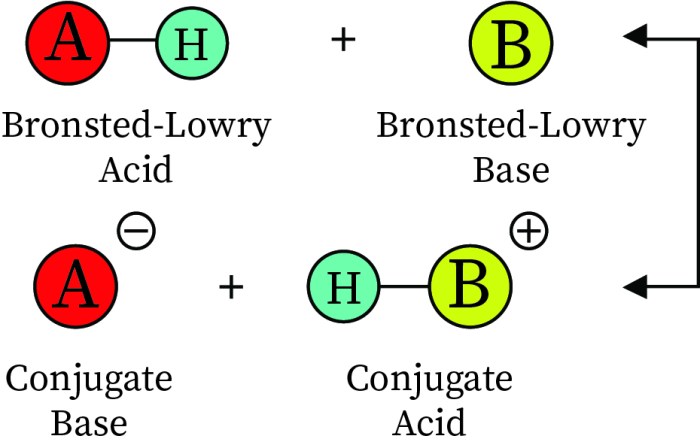 Which one of the following is a bronsted lowry acid