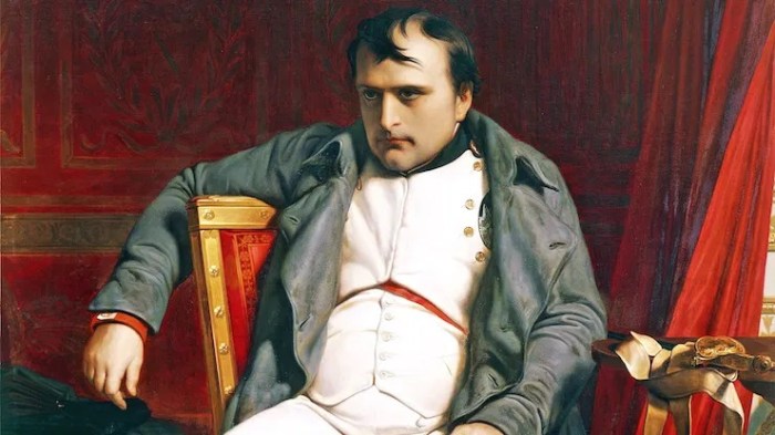 The young napoleon bonaparte studying at the military academy