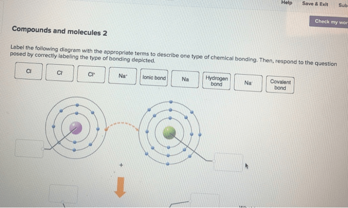 Label the following diagram with the appropriate terms